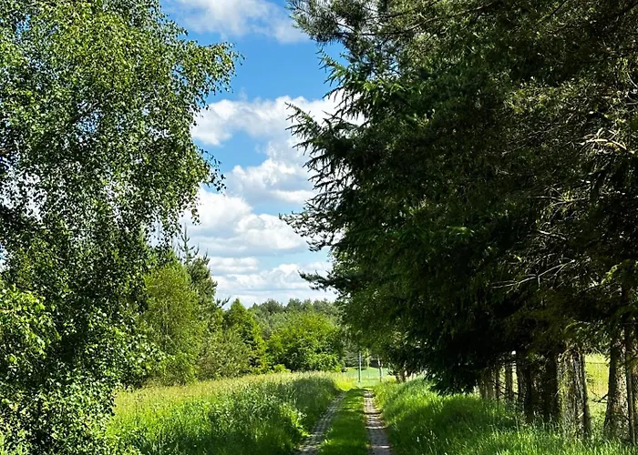 Siedlisko Blotnia Prázdninový dům